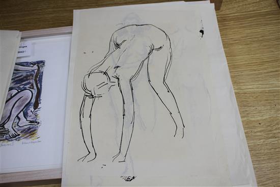 Peter Collins, twelve pen and ink on paper, Studies of female nudes, largest 35 x 25cm, unframed
